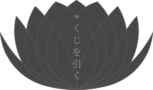  今日のくじを引くっ!